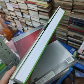 现代大型风力机设计原理
