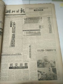 湖北日报1994年7月17日