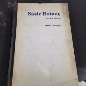 基础植物学第二版