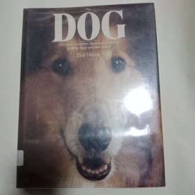 大16开本的英文原版书：The.DOG狗(The.most.complete.illustrated,practical,guide,to,dogs,and,their,world)