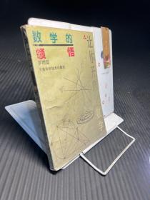 数学的领悟：让你开窍的数学