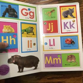 Slide And Find Abc Animals (Scholastic Early Learners: Slide And Find)