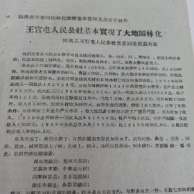 共青团资料  1960年  山西省青年向园林化继续进军誓师大会发言材料 257  阳高县王官屯党委副书记 温有珍