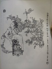 散页美术资料（印刷品）———线描人物画谱——红楼梦人物-蔷薇龄官，水仙金钏，女贞鸳鸯，芍药薛宝琴【戴敦邦】1667