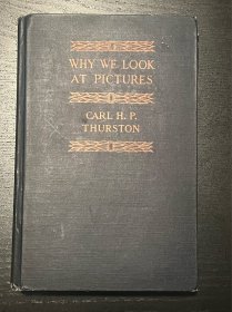 WHY WE LOOK AT PICTURES 精装毛边本