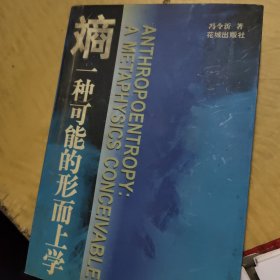 熵：一种可能的形而上学