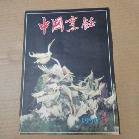 中国烹饪 1990-3