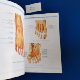 人体解剖学标本彩色图谱（第2版）