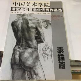 形式构成篇：中国美术学院造型基础部学生优秀作品选