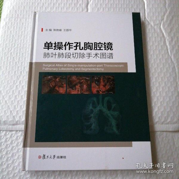 单操作孔胸腔镜肺叶肺段切除手术图谱