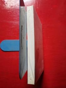 奇幻之旅（《超级的我》电影原著小说）