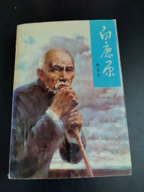 白鹿原 1993年一版三印