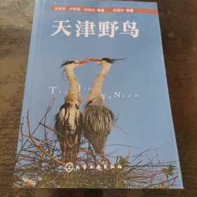 天津野鸟
