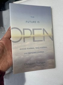 现货  英文版 The Future Is Open: Good Karma, Bad Karma, and Beyond Karma