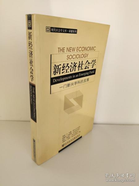 新经济社会学：一门新兴学科的发展   九成新 实物照片