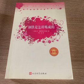 钢铁是怎样炼成的（最新版）