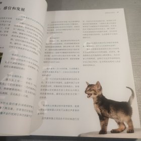 育猫全书