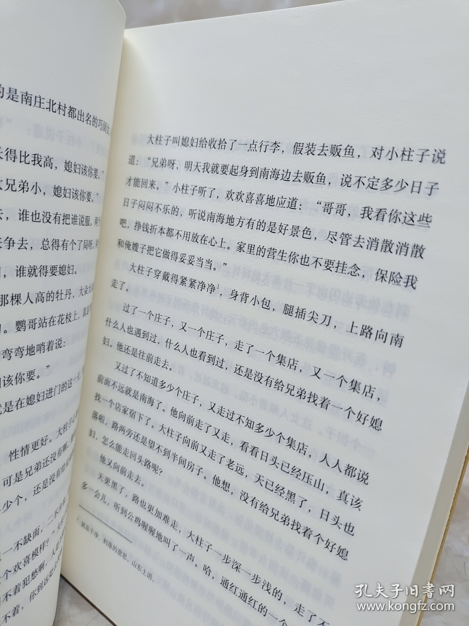 聊斋汊子（下册）