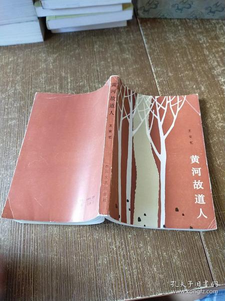 黄河故道人   一版一印  实物拍图 无勾画