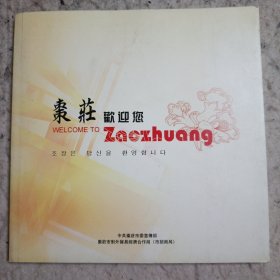 枣庄欢迎您。2006一版一印