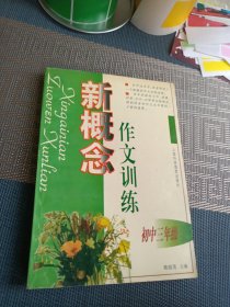 新概念作文训练 初中三年级