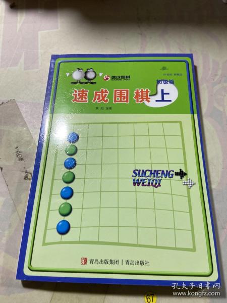 初级篇-速成围棋(上)