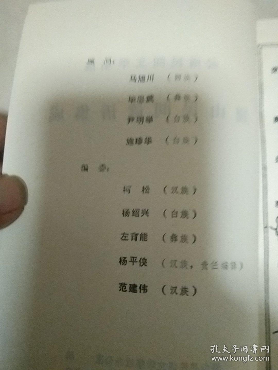 云南民间文学集成:巍山彝族回族自治县民间谚语集成