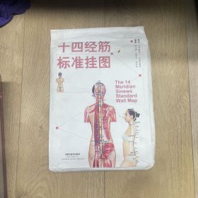 十四經(jīng)筋標(biāo)準(zhǔn)掛圖 6張