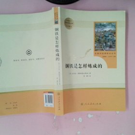 统编语文教材配套阅读 八年级下：钢铁是怎样炼成的/名著阅读课程化丛书