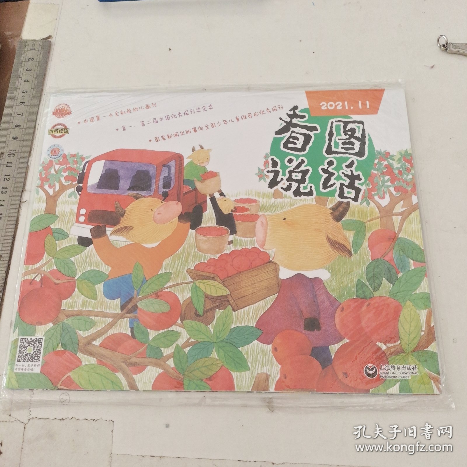 中国第一本全彩幼儿画刊 看图说话 2020.11