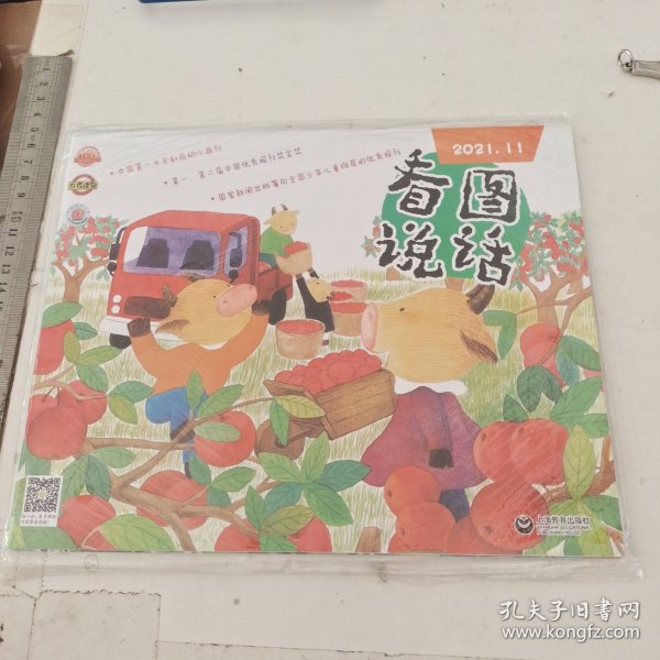 中国第一本全彩幼儿画刊 看图说话 2020.11