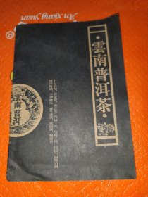 云南普洱茶