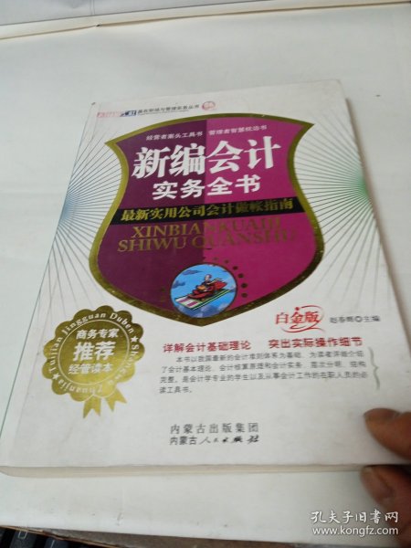 网络营销实务全书：突破传统营销平台的全新模式