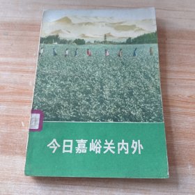 今日嘉峪关内外(北京120中学 藏书)