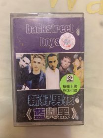 老磁带  新好男孩《蓝与黑》  授权卡带 原版引进  上海音像公司出版发行