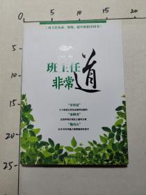 班主任非常道--班主任从业、修炼、提升的指导丛书