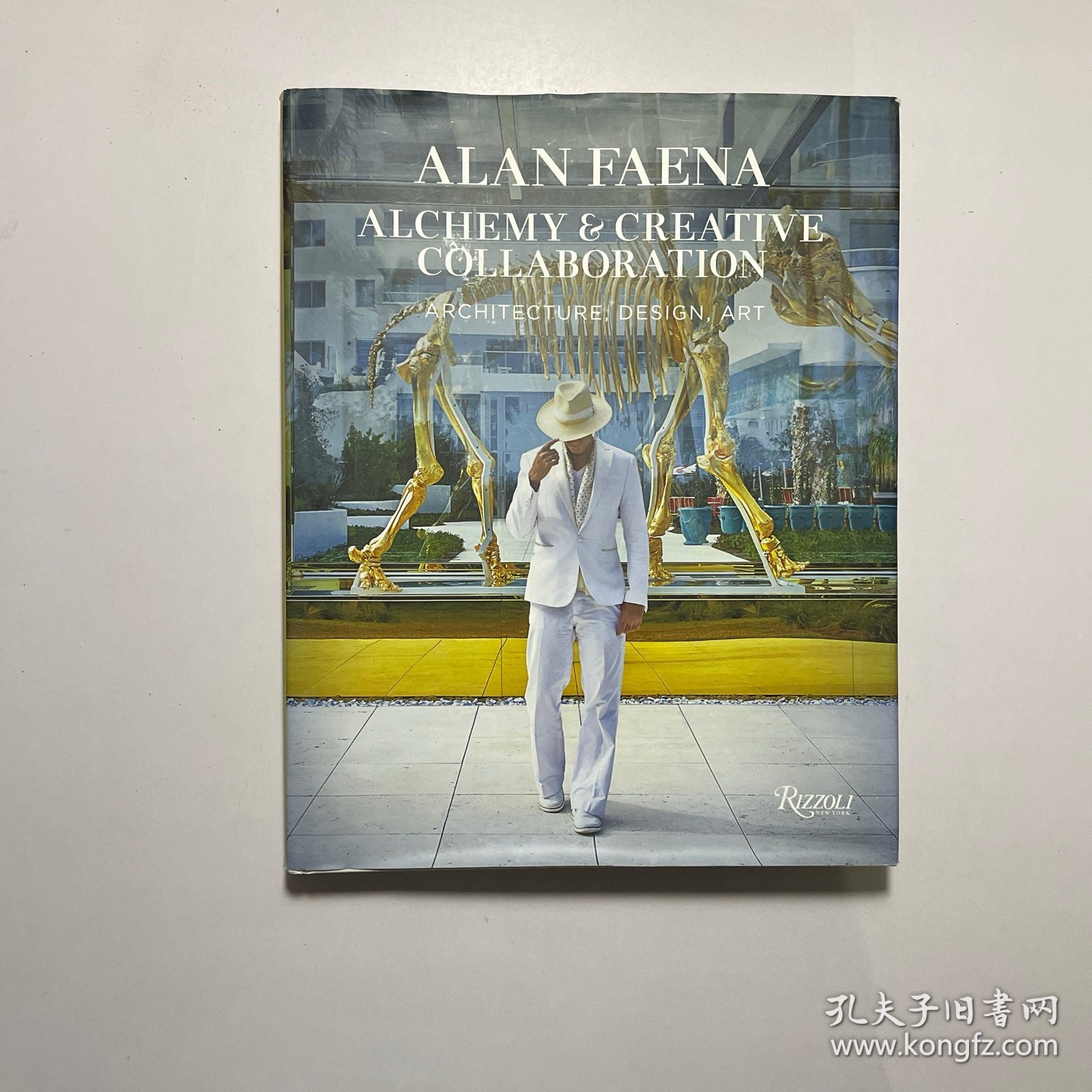 Alan Faena 艾伦法艾纳：魔力与创造协作:建筑、设计、艺术 英文原版