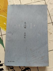 文工团：王安忆中篇小说集（卷一)