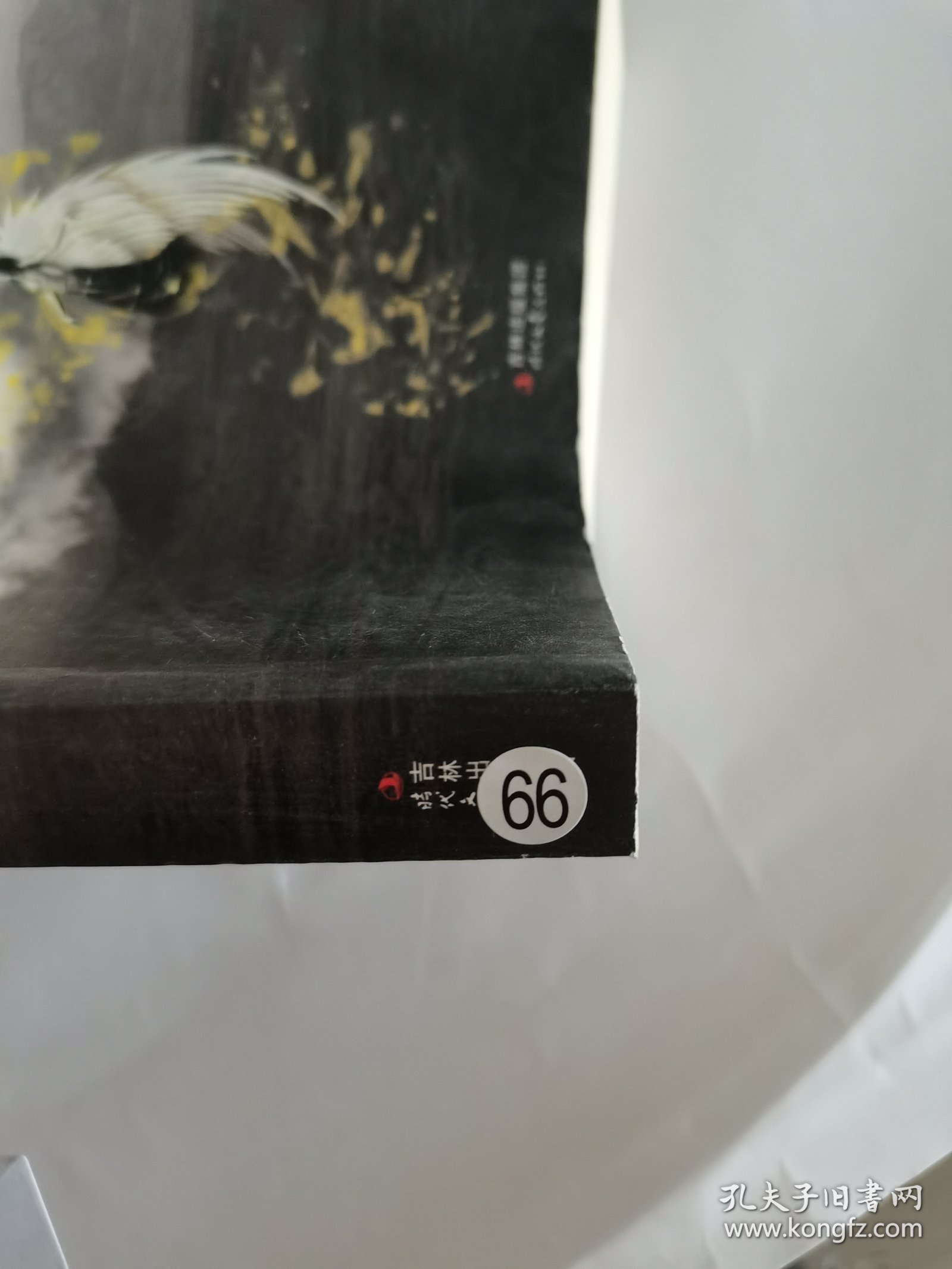 最后的女神(大结局)