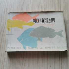 中国海洋鱼类原色图集