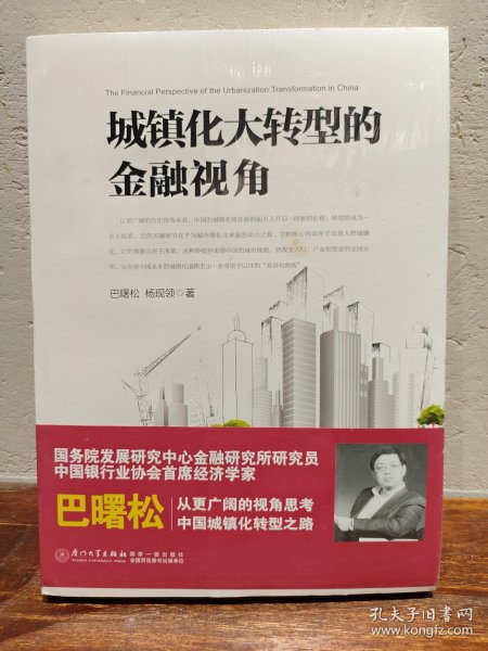 城镇化大转型的金融视角：从更广阔的视角思考中国城镇化转型之路