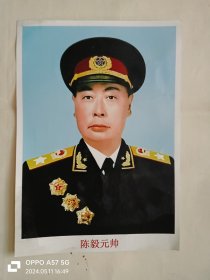 陈毅元帅像