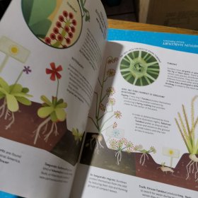 THE CARNIVOROUS PLANTS GUIDE for Young Explorers 食肉植物指南