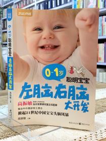 0～1岁聪明宝宝左脑右脑大开发（新版）