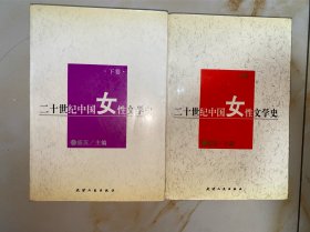 二十世纪中国女性文学史 上下 2册全 有铅笔划线