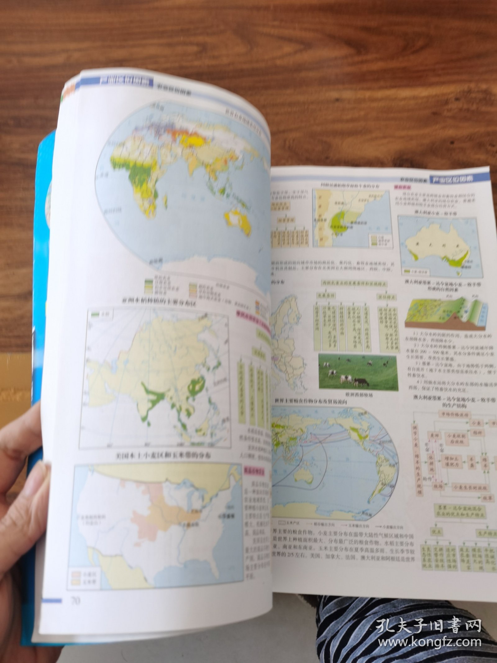 高中地理图文详解整合地图册