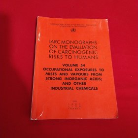 IARCMONOGRAPHSONTHEEVALUATIONOFCARCINOGENICRISKSTO HUMANS ( 国际癌症研究机构IARC关于人类致 癌风险平估的专著）第54册