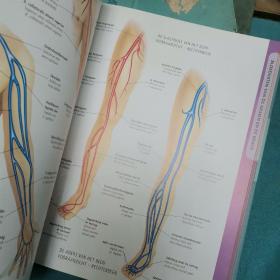 解剖学
