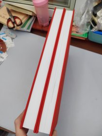 须弥山石窟考古报告(1圆光寺区上下)(精)/宁夏文物考古研究所丛刊