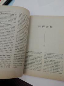 西藏文学双月刊1999.6